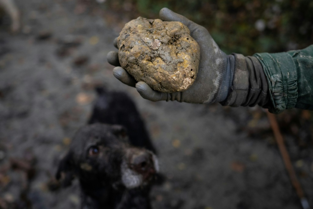 Foto: Swissinfo