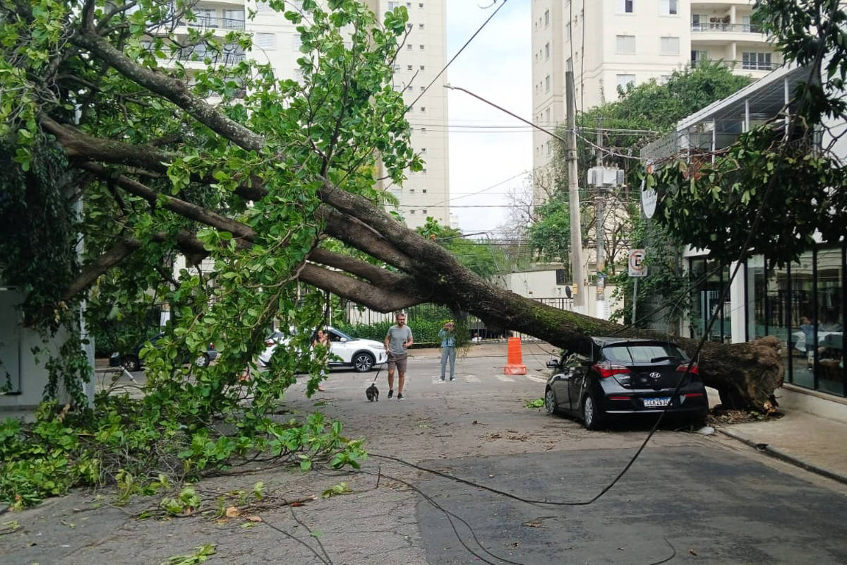 Foto: Folha - UOL