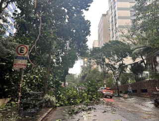 Mais de 200 árvores caíram durante temporal em SP; 74 mil estão sem luz