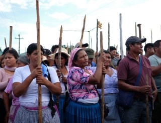 Evo Morales foge da Justiça na selva boliviana e planeja retorno à Presidência