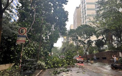 Mais de 200 árvores caíram durante temporal em SP; 74 mil estão sem luz