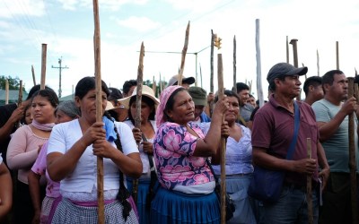 Evo Morales foge da Justiça na selva boliviana e planeja retorno à Presidência